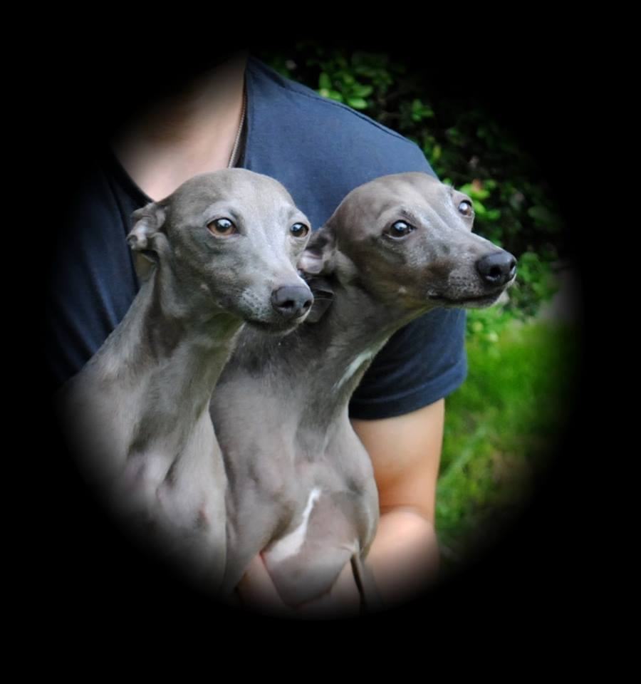 kopa x baublis