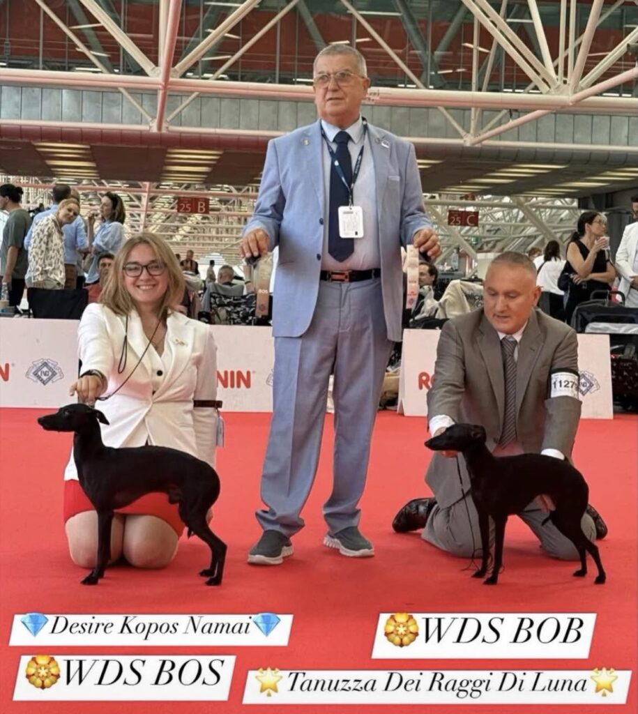 Kopos Namų šuo – Pasaulio čempionas Italijoje ir kitos įspūdingos šio mėnesio naujienos 718994442 926434787080581 7390918988183041673 n