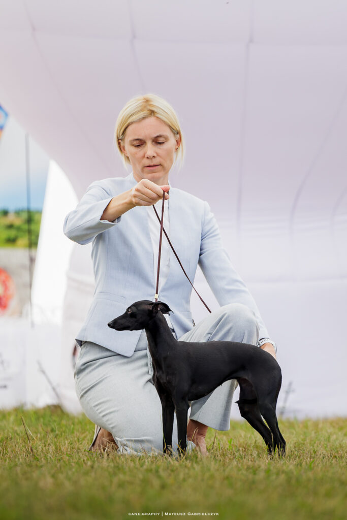 živilė bilotaitė jokubauskienė 4830